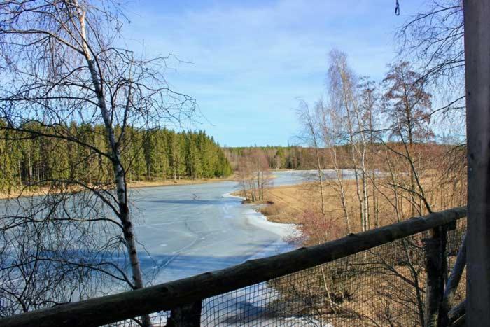 Tretopphytter Pa Grensen - Beverhytta Med Robat Og Gjeddefiske Halden Exterior foto